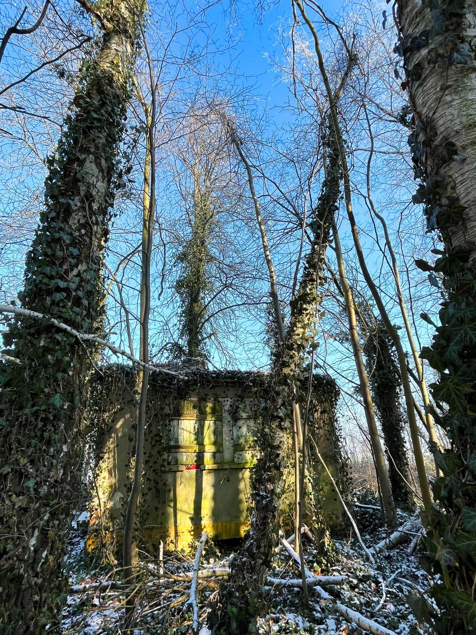 VERKAUFT-Waldgrundstück im beliebten Oberholz