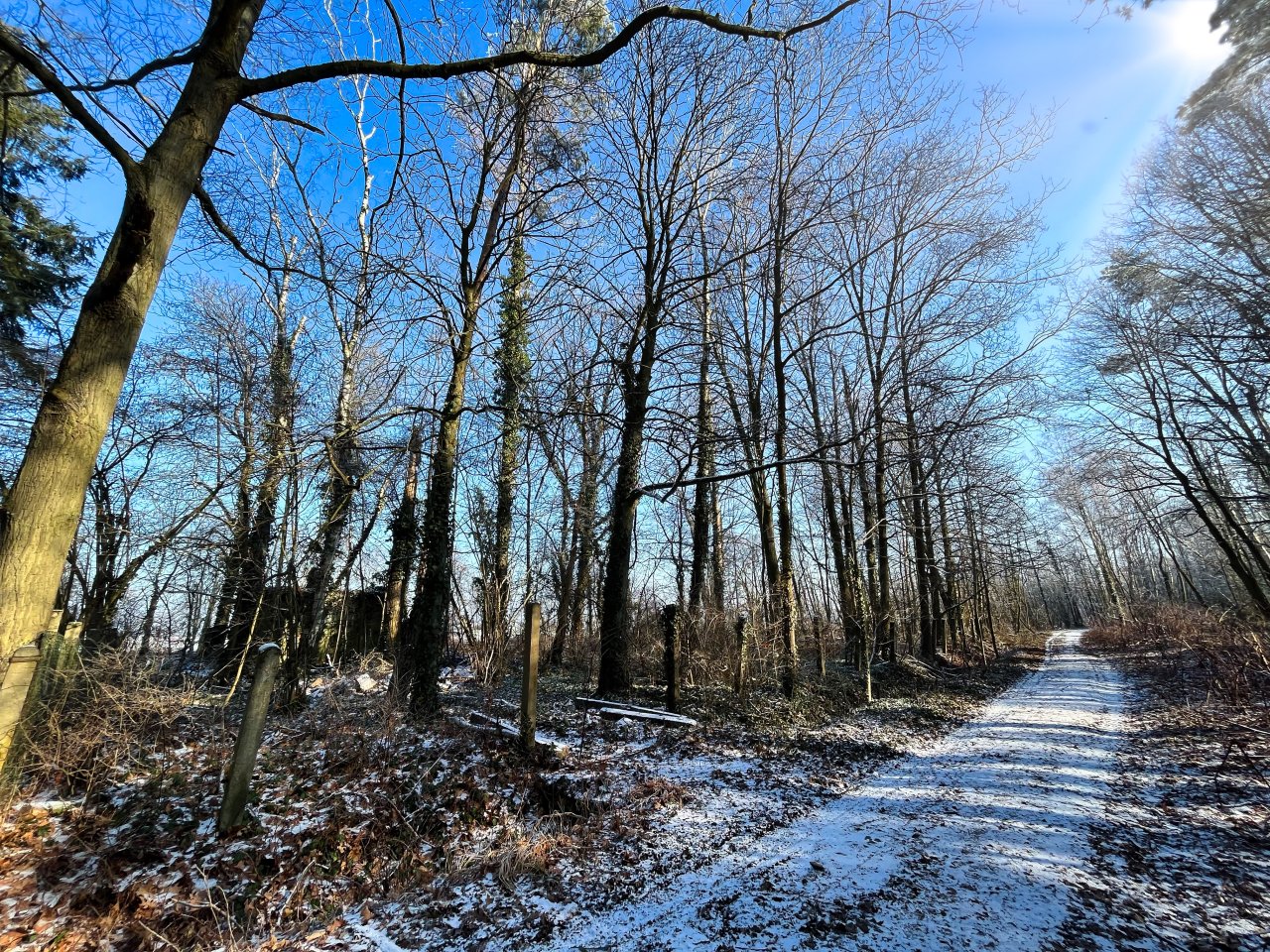 VERKAUFT-Waldgrundstück im beliebten Oberholz
