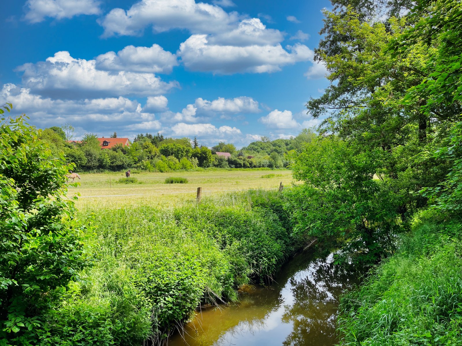 VERKAUFT-Bauen Sie Ihr Traumhaus inmitten der Neuseenlandschaft - Mit Baugenehmigung!