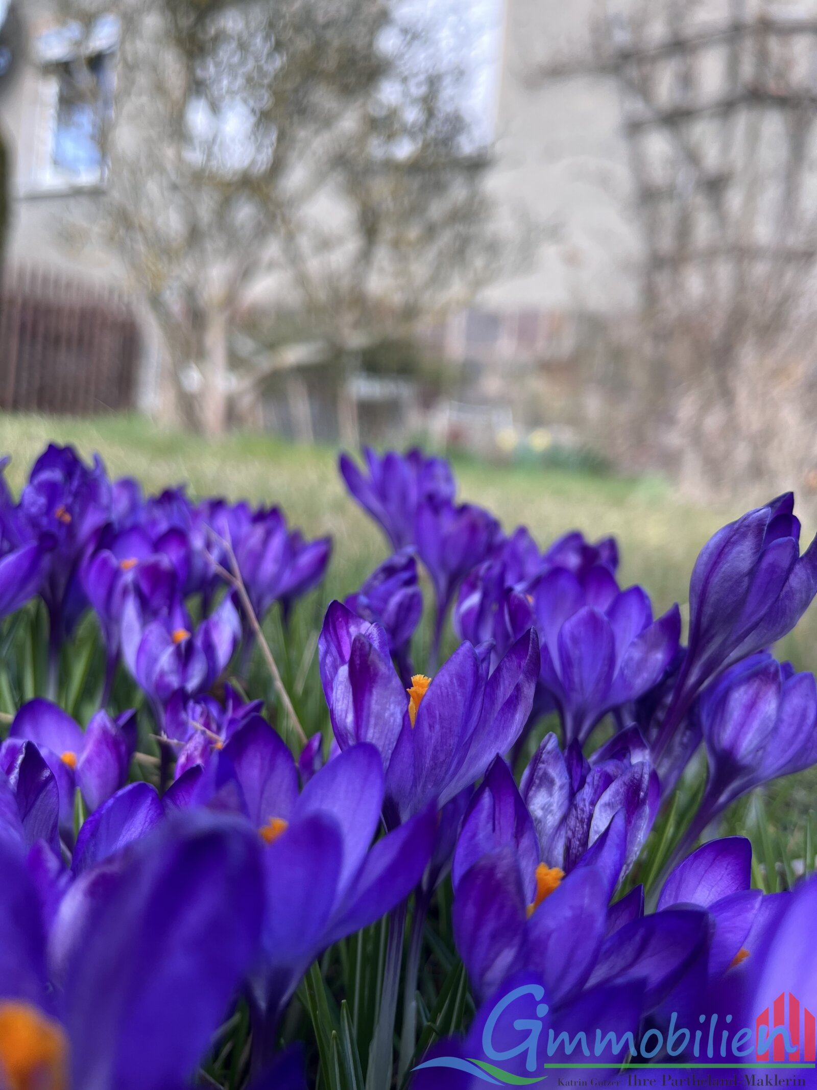 Ihr neues Zuhause: Charmante Doppelhaushälfte in Elbisbach bei Bad Lausick/Frohburg