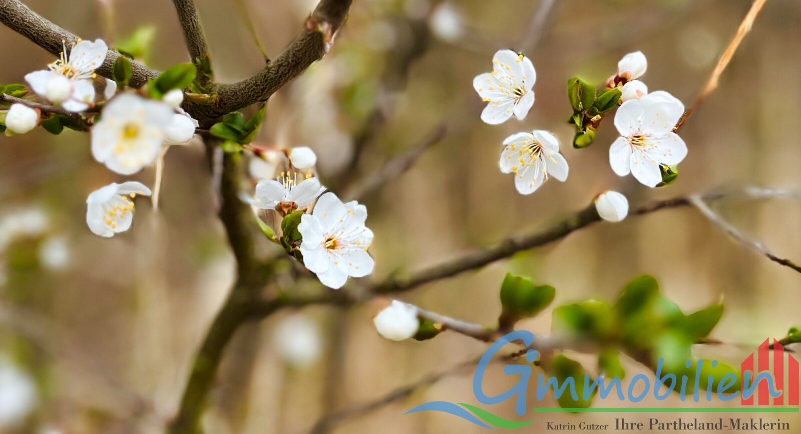 Modernes Fachwerkhaus (Bj.1994) in Großpösna – Stilvolles Wohnen mit Wohlfühlcharakter