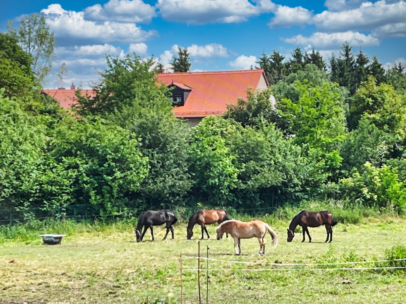 Nähere Umgebung