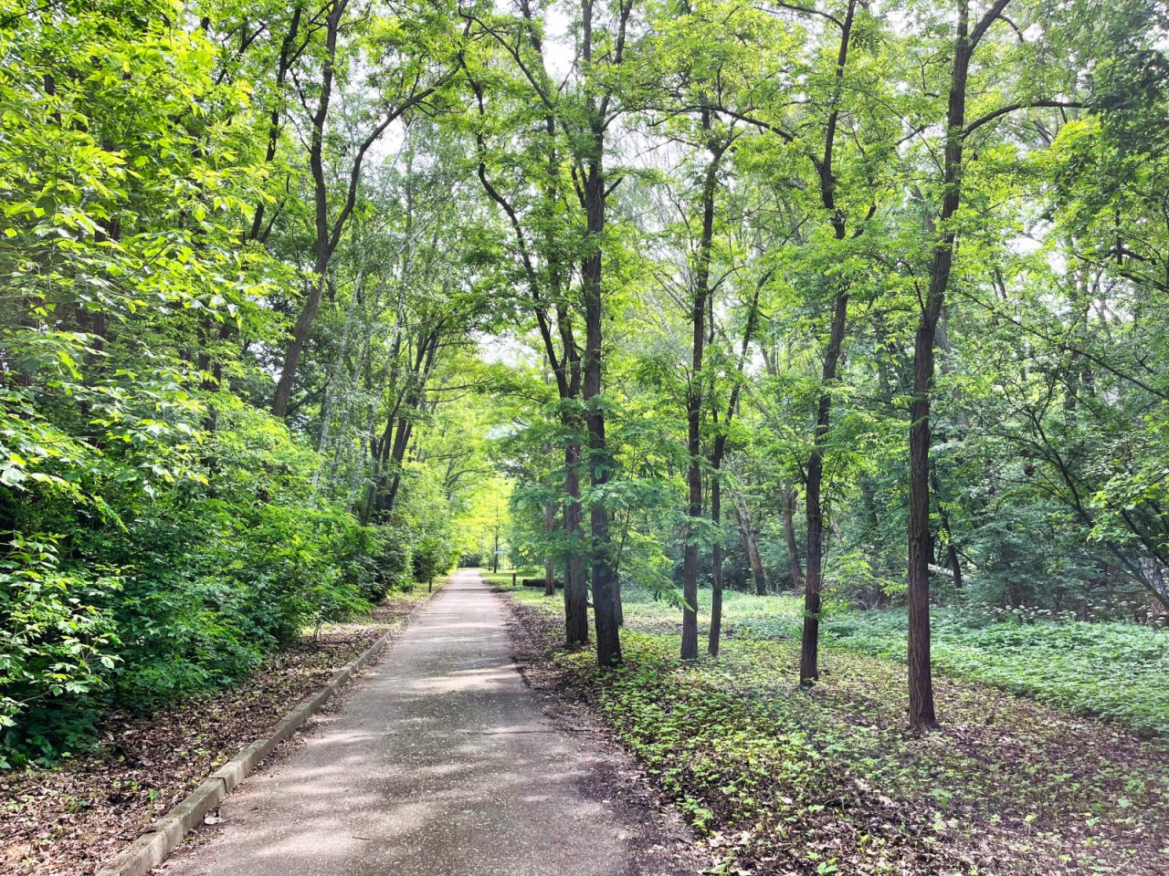 Radwanderweg Radwanderweg