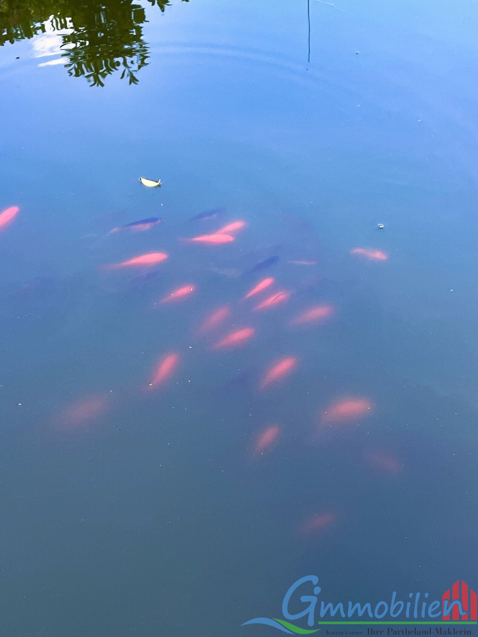 Fische